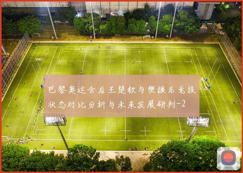 巴黎奥运会后王楚钦与樊振东竞技状态对比分析与未来发展研判