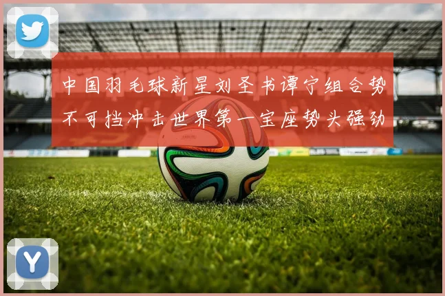 中国羽毛球新星刘圣书谭宁组合势不可挡冲击世界第一宝座势头强劲