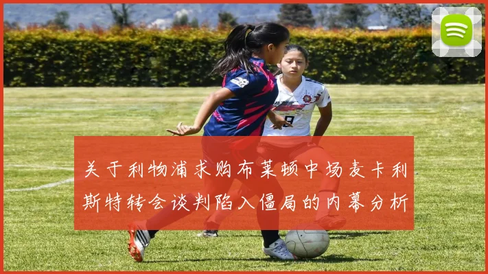 关于利物浦求购布莱顿中场麦卡利斯特转会谈判陷入僵局的内幕分析报告