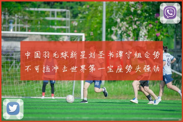 中国羽毛球新星刘圣书谭宁组合势不可挡冲击世界第一宝座势头强劲