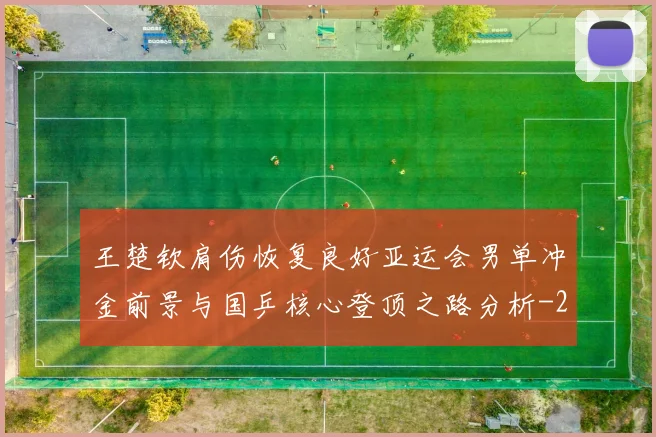王楚钦肩伤恢复良好亚运会男单冲金前景与国乒核心登顶之路分析