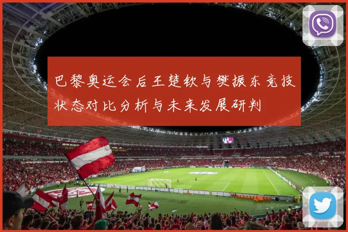 巴黎奥运会后王楚钦与樊振东竞技状态对比分析与未来发展研判